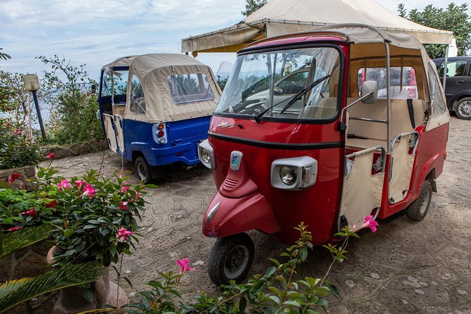 Sorrento Farm by Tuk Tuk: Cheese, Limoncello & Hands-On Pizza - Price and value at about $211 per person