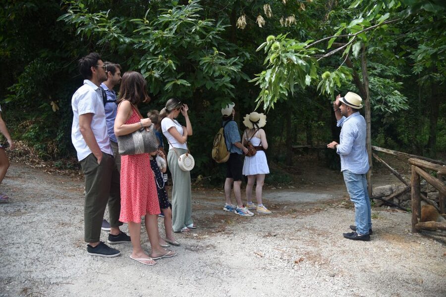 Sorrento: Farm Tour with Cheese Tasting & Pizza Making Class - Cheese Making Lesson: Mozzarella and Caciotta Spinning