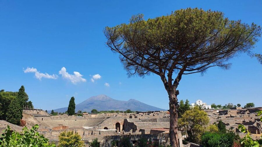 Sorrento: Skip-the-Line Pompeii Express Tour by Train - Price and value: is $63 a fair deal?