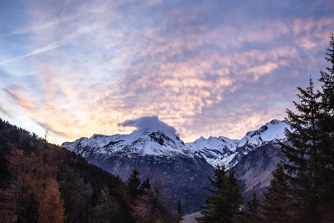 Swiss Alps Bernina Red Train and St.Moritz Tour from Milan - Comfort, seating, and windows on the bus and train