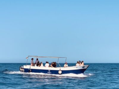 Syracuse: Pillirina, Ortigia, and Sea Caves Tour by Boat