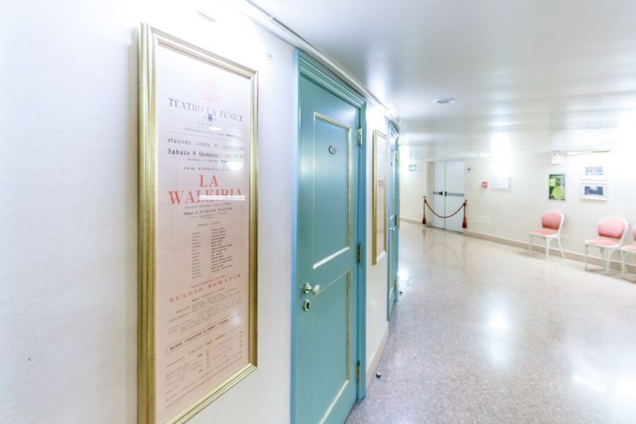 The Majestic Teatro La Fenice: Guided Tour in Venice - Price and value: what you get for about $28