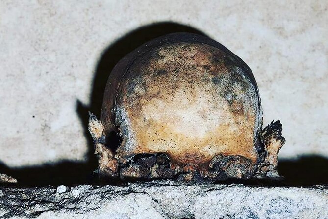The Skull with the Ears: the Cult of the Dead in the Church of S. Luciella - Key highlights you should care about