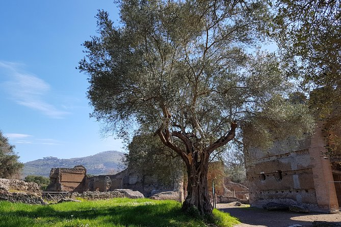 Tivoli Villas Full Day Trip From Rome with Lunch - What to Watch For Before You Go