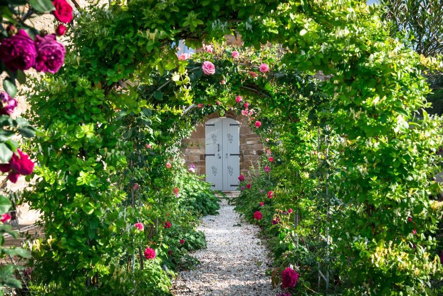 Total Immersion Wine Tour in Chianti - The setting: Fattoria di Montemaggio and the Chianti Classico feel