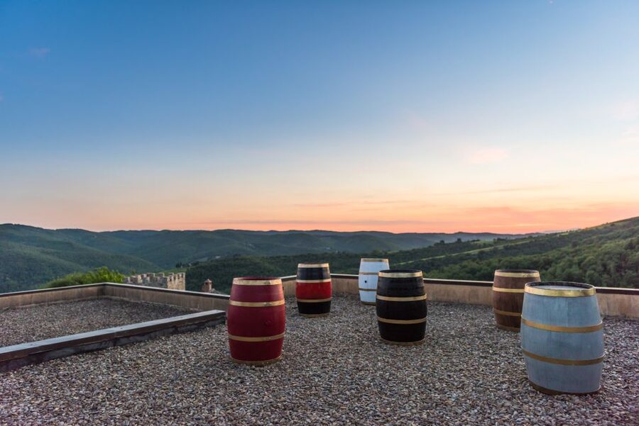 Total Immersion Wine Tour in Chianti - Grappa at the end: optional, but worth considering