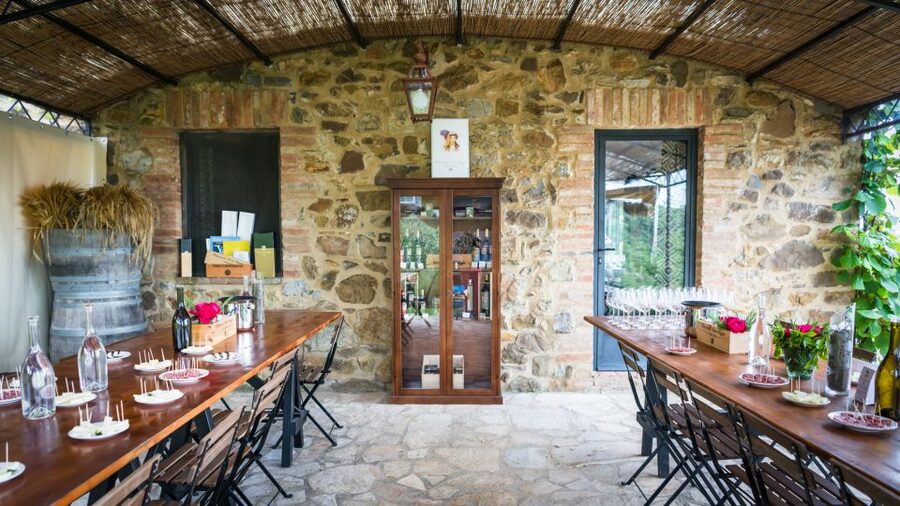 Total Immersion Wine Tour in Chianti - Price and logistics: what $47 buys you in real time
