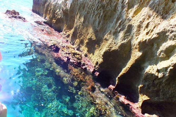 Tour of the island of Ortigia and exploration of sea caves with baths. - Skipper Style Matters, and the Best Ones Make It Click