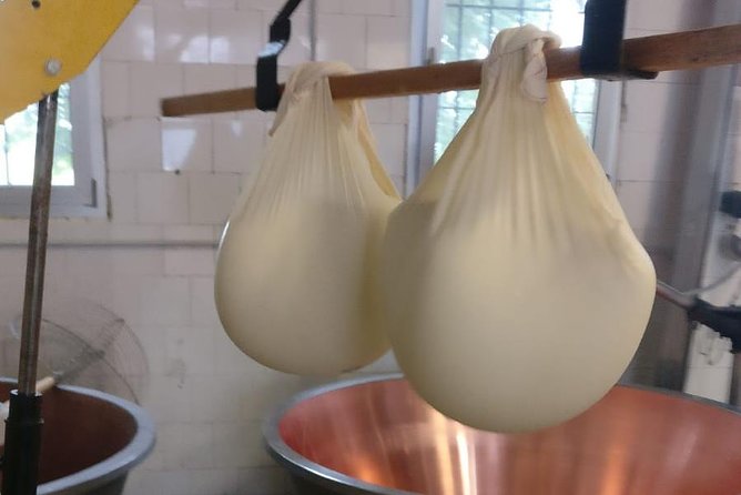 Tour Parmigiano Reggiano dairy and Parma ham - What you can take home (and how to shop smarter after)