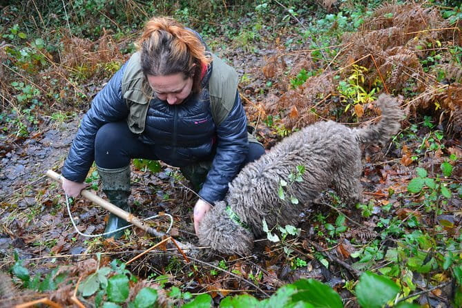 Truffle Hunting Experience with Lunch in San Miniato - Truffle Hunting Near San Miniato: What Makes This Day Different