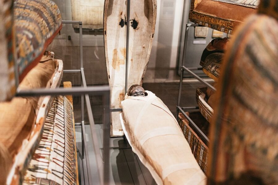 Turin: Egyptian Museum Priority Access Guided Tour - The sphinx corridor finish: tying the room together