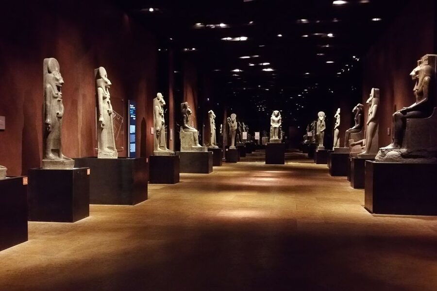 Turin: Egyptian Museum Small Group Skip-the-Line Guided Tour - Who this tour is best for, and who might want a different plan
