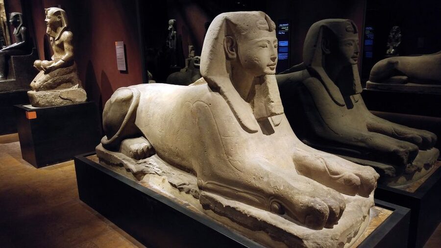 Turin: Guided Egyptian Museum Tour - Key highlights you’ll actually care about