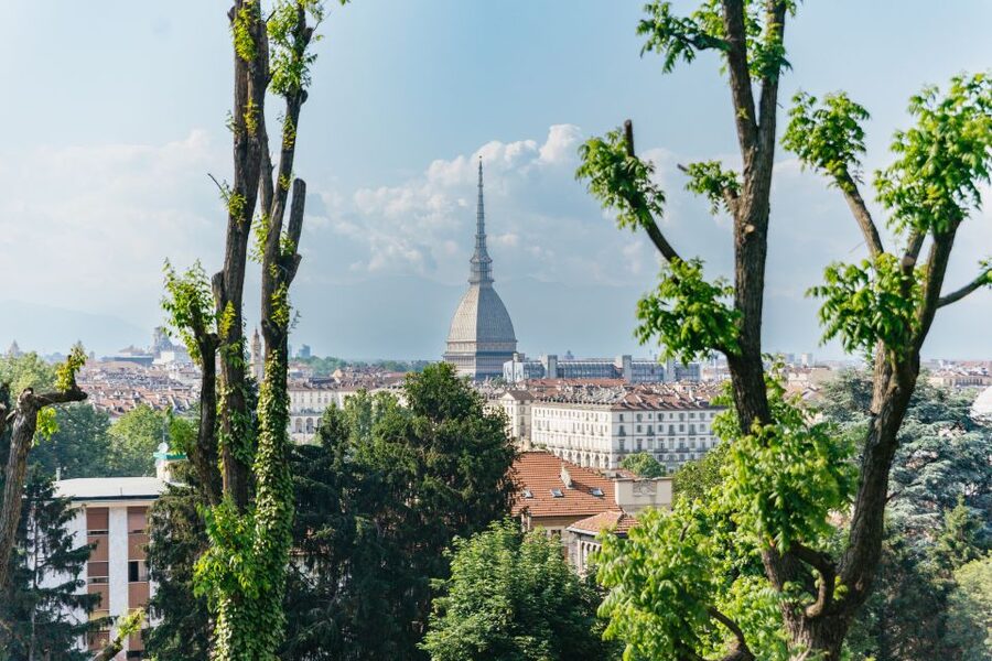 Turin: Hop-on Hop-off Bus Tour with 24 or 48-Hour Ticket - Key Things I’d Focus On