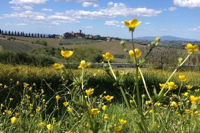Tuscany Bike Tours Through the Chianti Hills with Wine Tasting - The one hill problem, and how to handle it