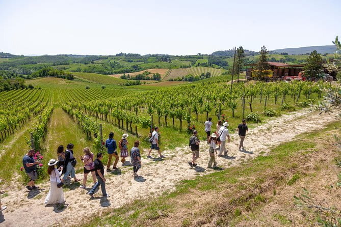 Tuscany Day Trip from Florence: Siena, San Gimignano, Pisa and Lunch at a Winery - Siena’s Contrade and the Stories Behind the Streets