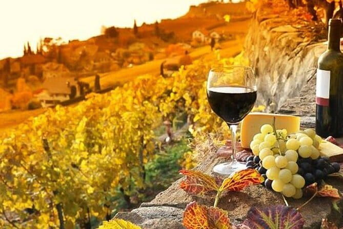 Tuscany Day Trip from Florence: Siena, San Gimignano, Pisa and Lunch at a Winery - Chianti at Fattoria Poggio Alloro: Wine Tasting With a Proper Lunch