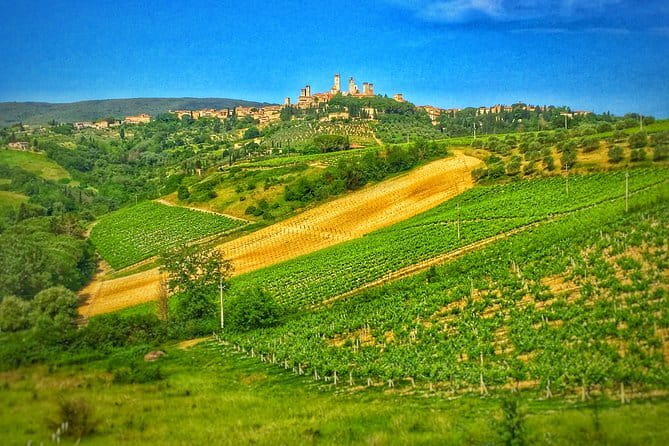 Tuscany Vespa Tour from Florence with Wine Tasting - Driving the Vespa: License Rules and Beginner Reality Checks