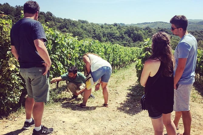 Tuscany Vespa Tours Through the Hills of Chianti - Guides Who Teach, Manage, and Keep It Fun
