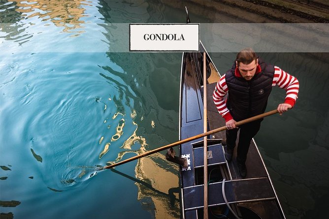 Venice's Icons: Basilica, Doge Palace, Rialto & Optional Gondola - Venice Gallery VR: a practical history shortcut