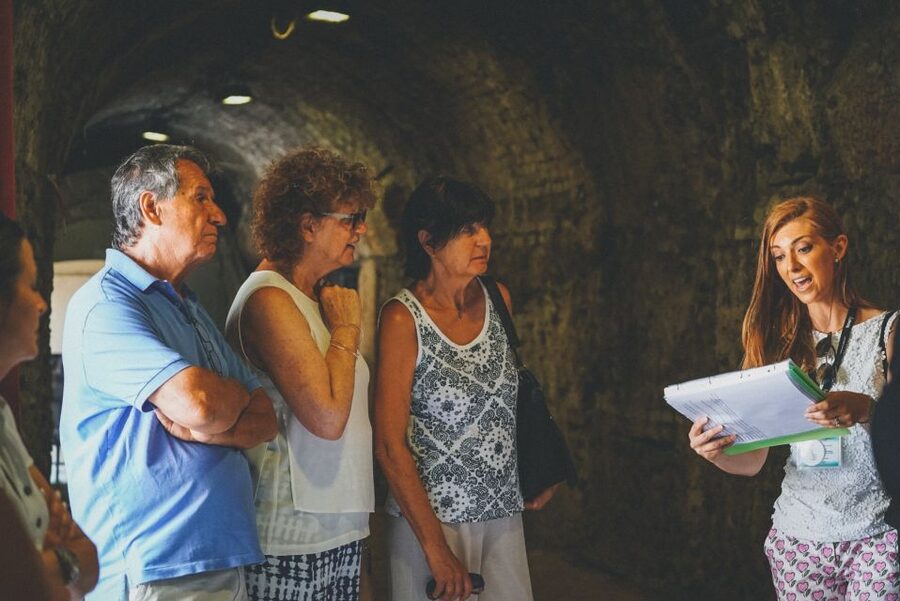 Verona: Priority Access Arena Guided Tour - Price, value, and who should book this