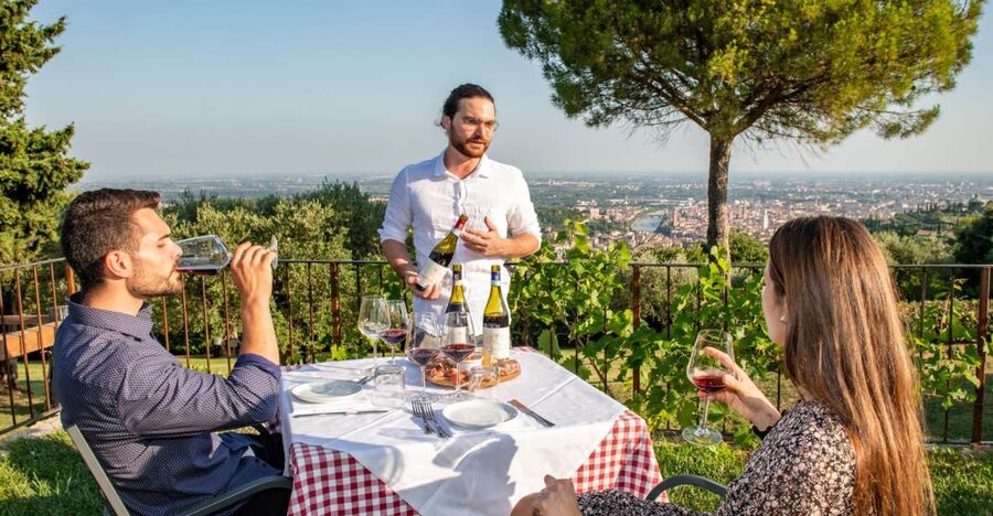 Verona: Wine Tasting with Snacks and Panoramic Views - An organic hillside winery, just outside the Verona scene