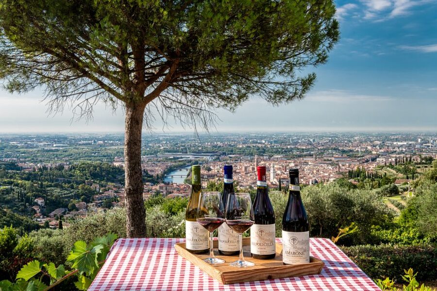 Verona: Wine Tasting with Snacks and Panoramic Views - The terrace tasting: 5 organic wines with local cold cuts and cheeses