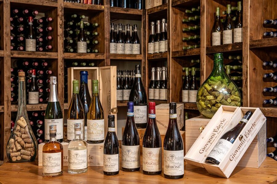 Verona: Wine Tasting with Snacks and Panoramic Views - Price and value check: $53 for a short, scenic wine education