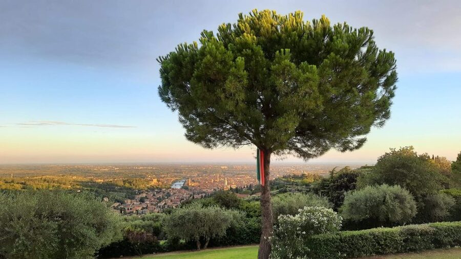 Verona: Wine Tasting with Snacks and Panoramic Views - When to book for the best Verona views