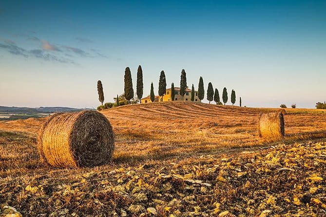 Walking Food Tour of Florence with Tastings and Wine - Who should book this Walking Palates Florence tour